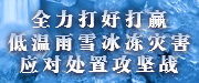 全力打好打赢低温雨雪冰冻灾害应对处置攻坚战